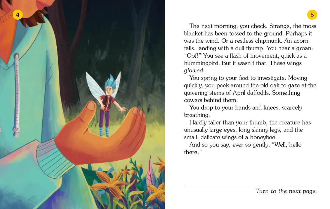 Fairy House US - Paperback / softback