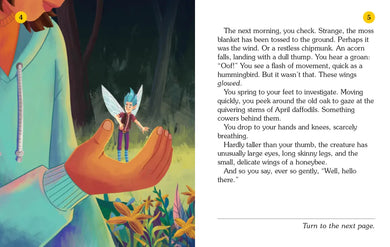 Fairy House US - Paperback / softback