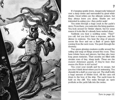 Brooklyn Mermaid US - Paperback / softback