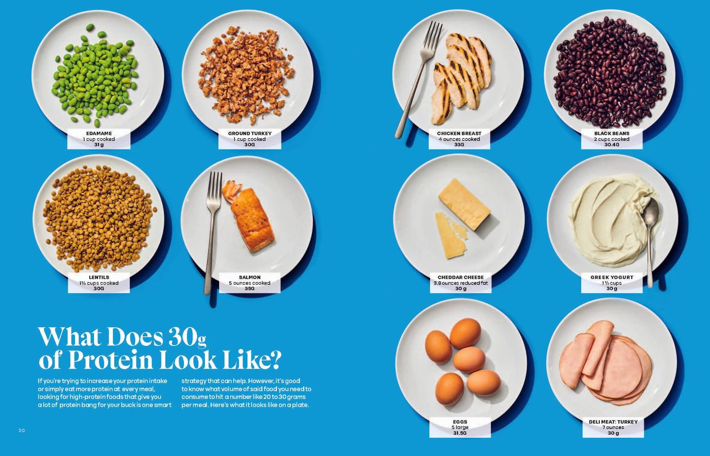 The Protein Playbook US - Hardback