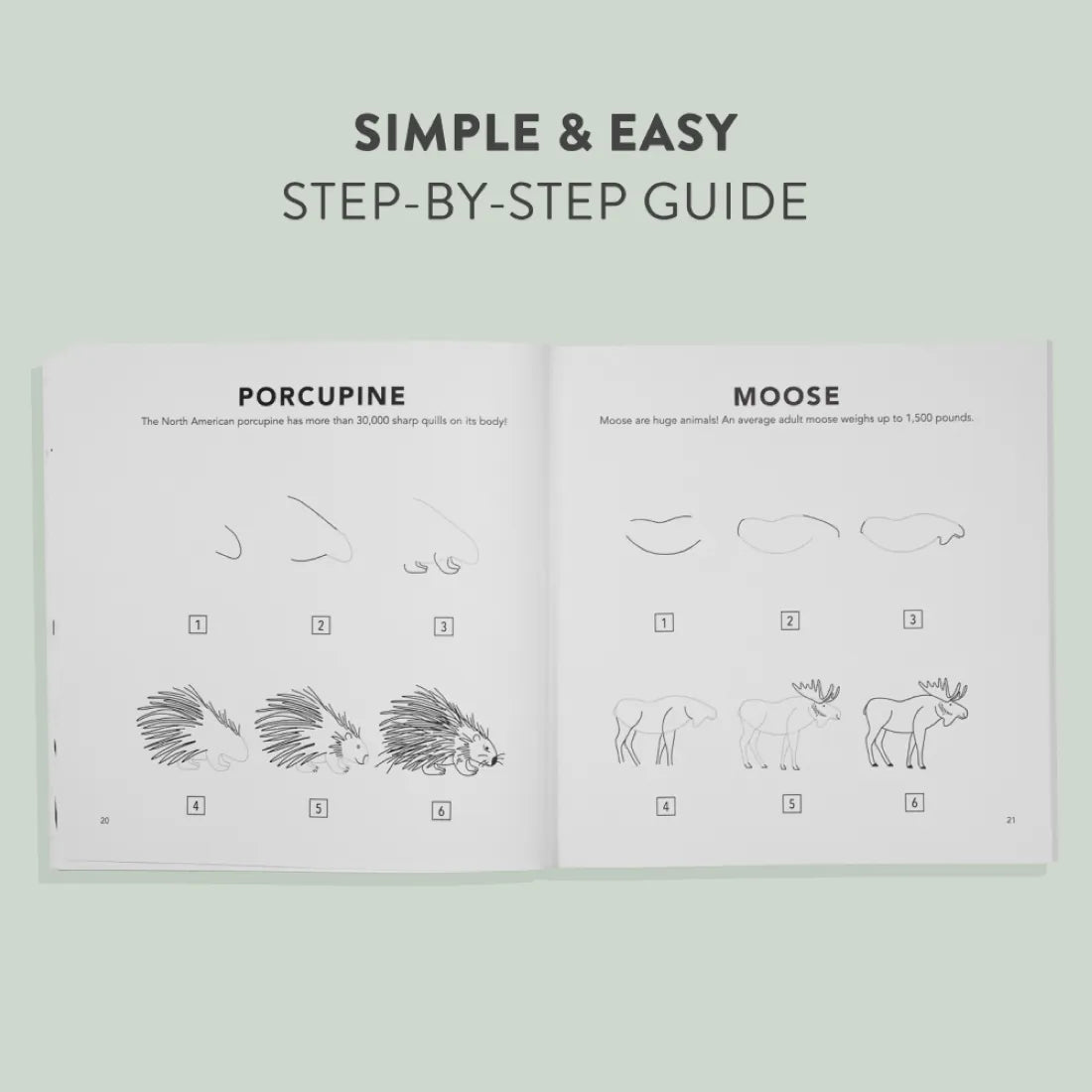 Mushrooms & Woodland Creatures: How to Draw Books for Kids with Woodland Creatures, Bugs, Plants, and Fungi US - Paperback / softback