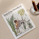 Soul of the Woodland US - Paperback / softback (9781958803745)