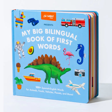 My Big Bilingual Book of First Words US - Hardback