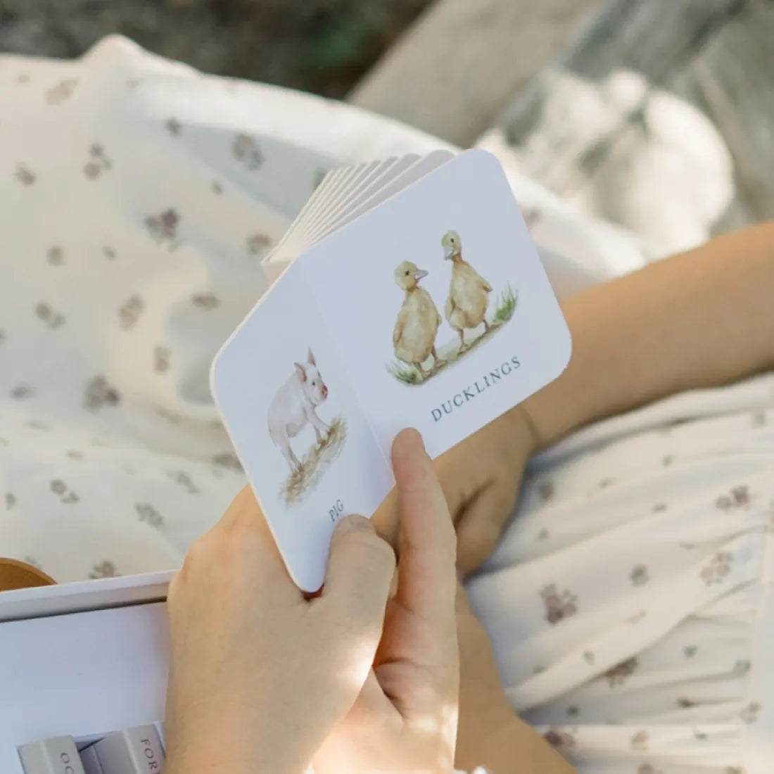 Our Very Little Library Board Book Set US - Multiple-component retail product, boxed