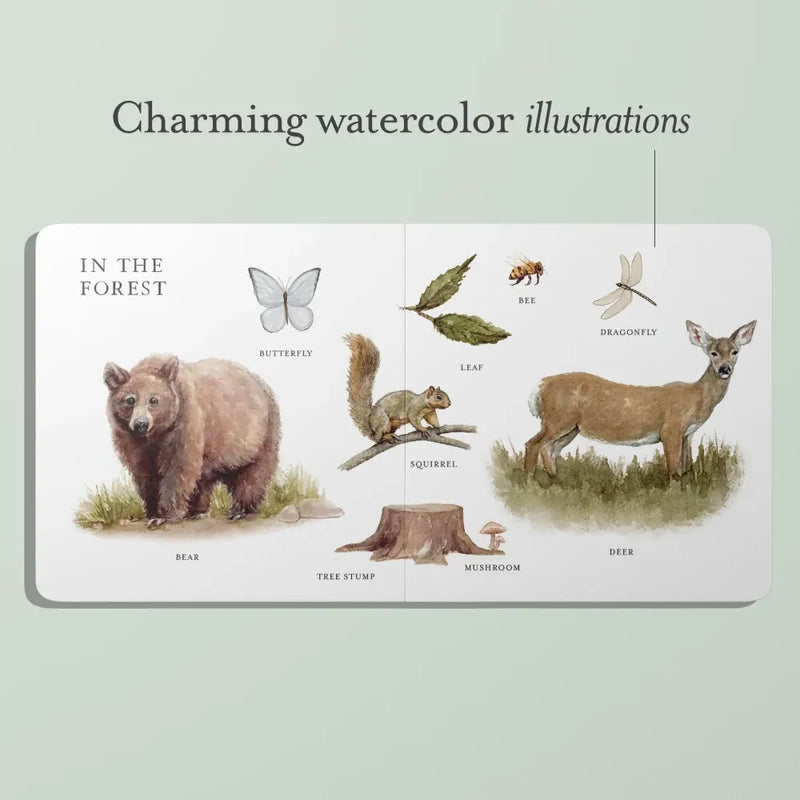 Our Big Book of First Words US - Board book