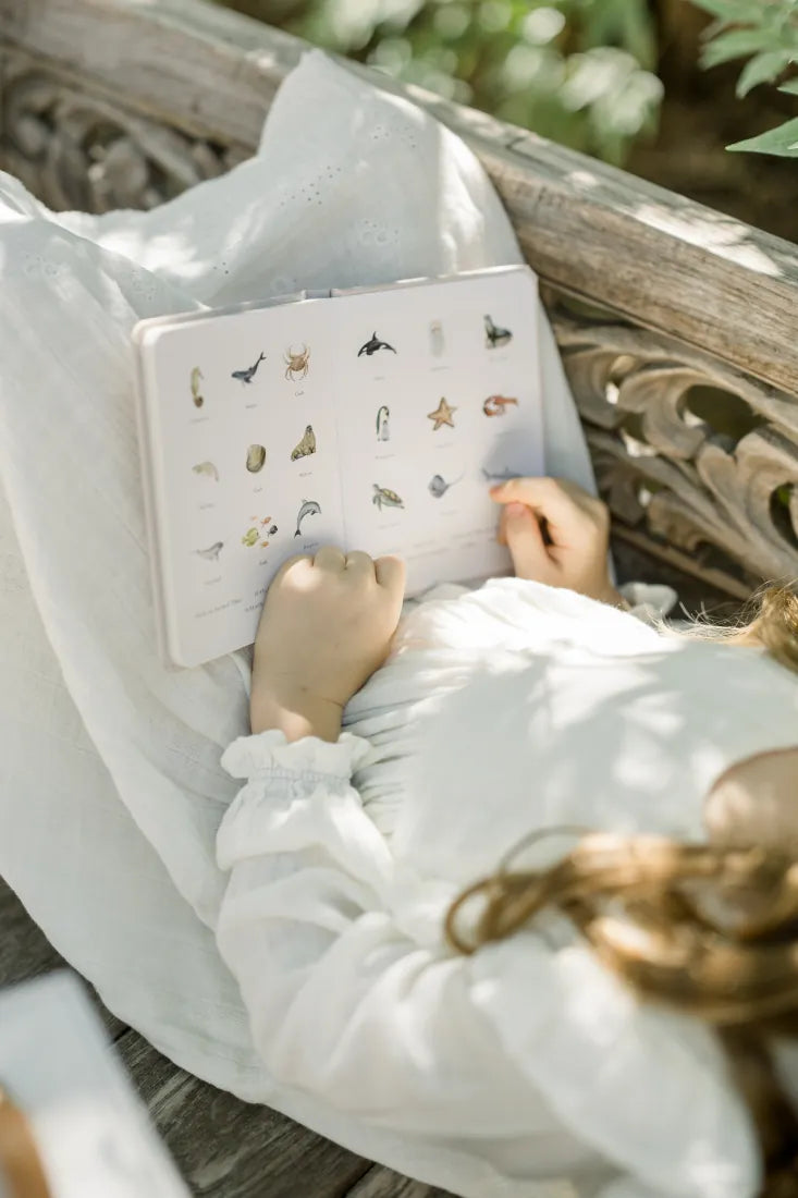 Our Little Library Vol. 2 US - Multiple-component retail product, boxed