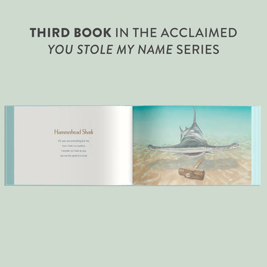 You Stole My Name Tools US - Hardback