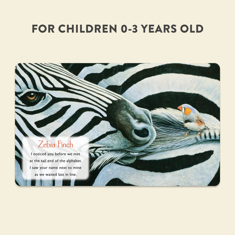 You Stole My Name US - Board book