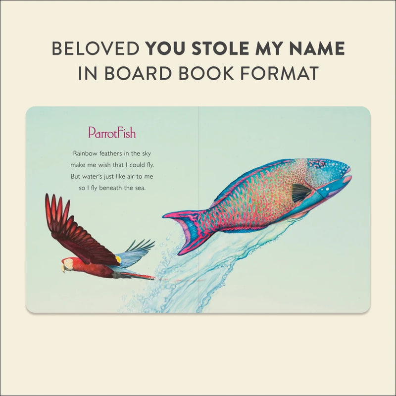 You Stole My Name US - Board book
