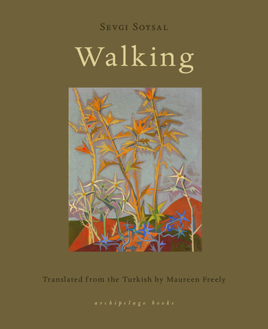 Walking cover (ISBN 9781962770712)