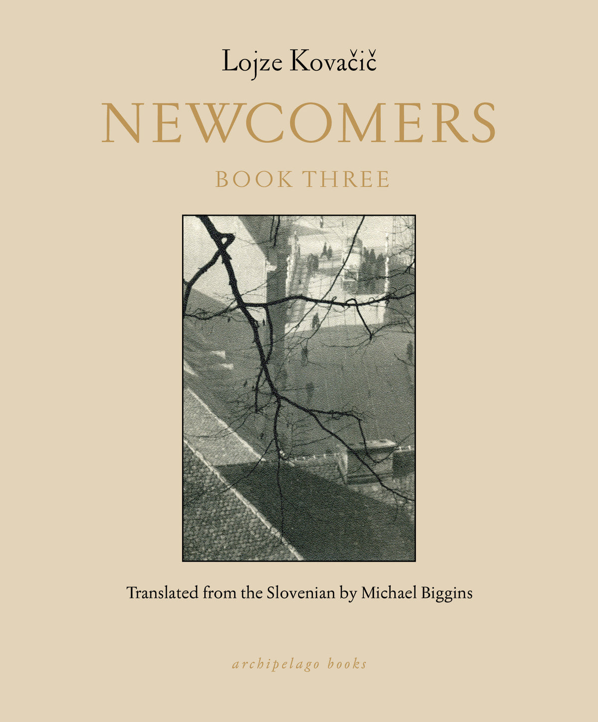 Newcomers: Book Three cover (ISBN 9781962770897)