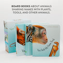 You Stole My Name Board Book Box Set US - Multiple-component retail product, boxed