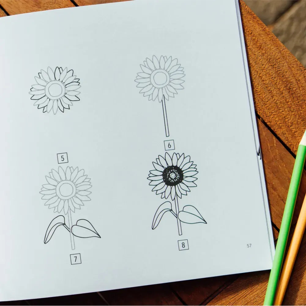 Summer Things: How to Draw Books for Kids Featuring Beach Fun, Summer Camp, Picnics, and More US - Paperback / softback