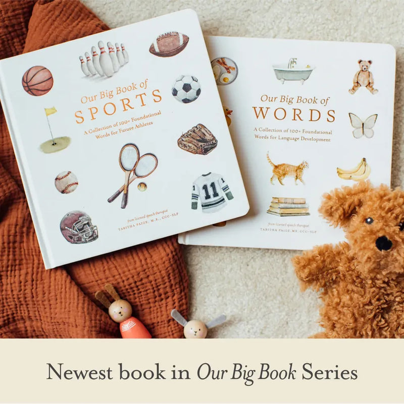 Our Big Book of Sports US - Board book