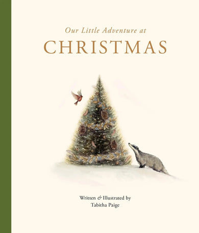 Our Little Adventure at Christmas-Children’s / Teenage general interest: Places and peoples-買書書 BuyBookBook