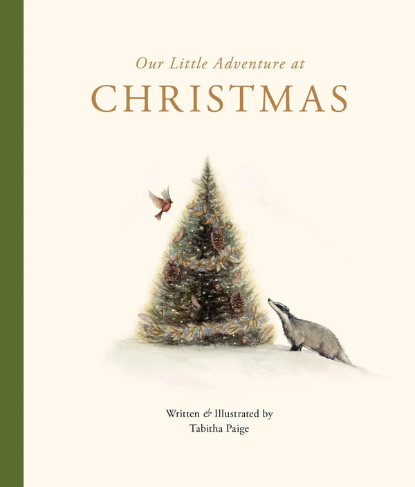 Our Little Adventure at Christmas-Children’s / Teenage general interest: Places and peoples-買書書 BuyBookBook