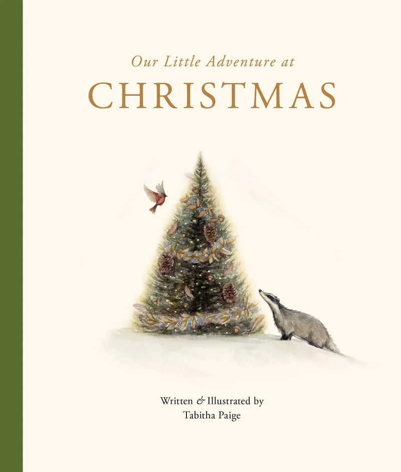 Our Little Adventure at Christmas-Children’s / Teenage general interest: Places and peoples-買書書 BuyBookBook