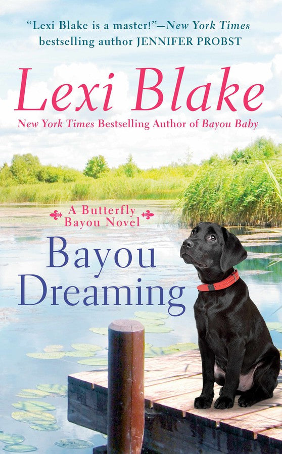 Bayou Dreaming-Fiction: Romance-買書書 BuyBookBook