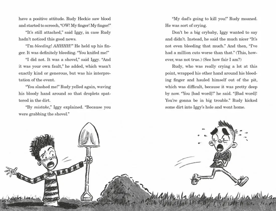 Iggy Is the Hero of Everything US - Paperback / softback