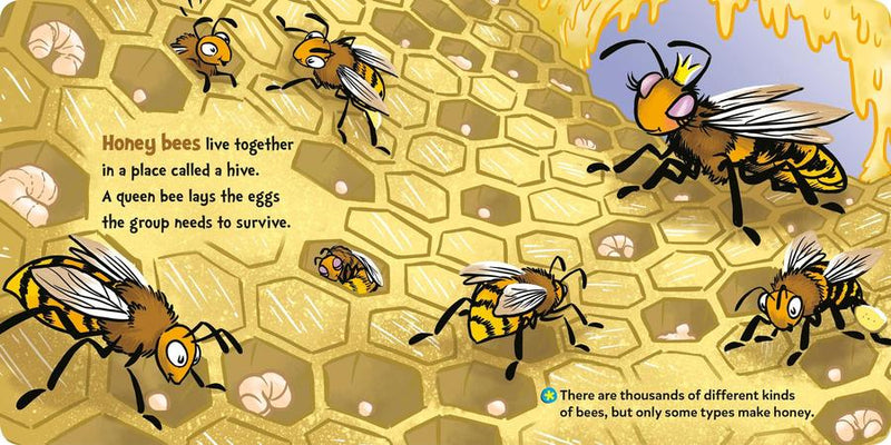 Dr. Seuss Discovers: Bugs US - Board book