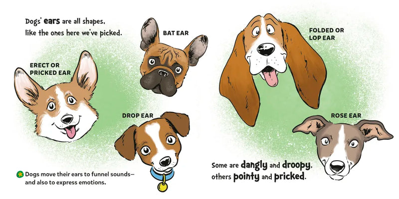 Dr. Seuss Discovers: Dogs US - Board book