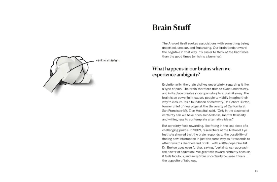 Navigating Ambiguity US - Paperback / softback