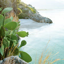 Coastlines US - Hardback