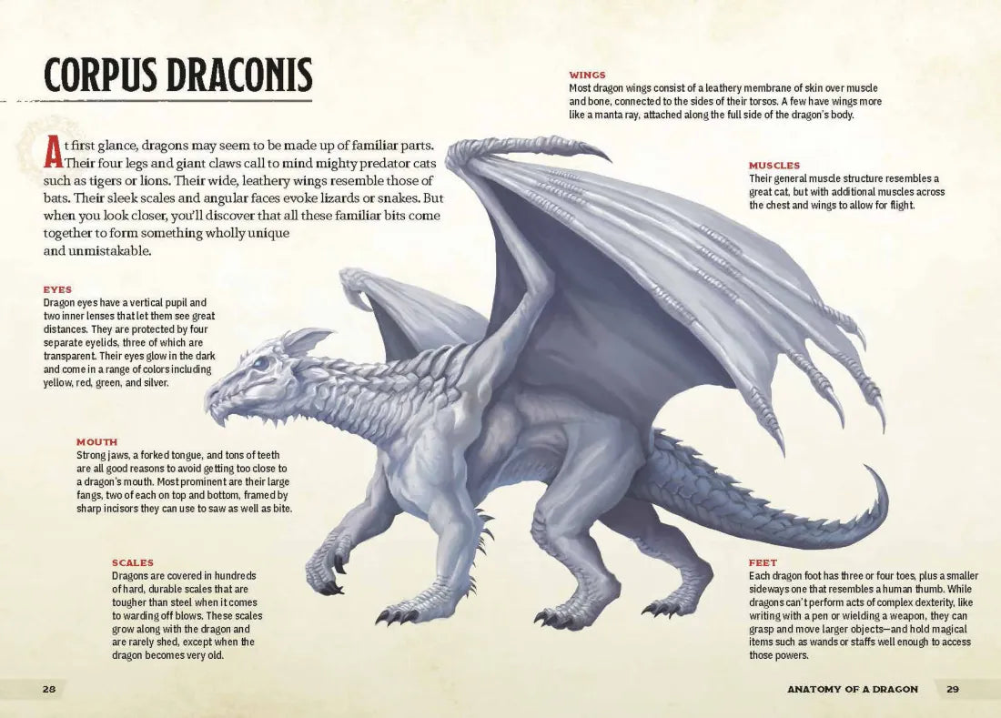 Dragons & Treasures (Dungeons & Dragons) US - Hardback
