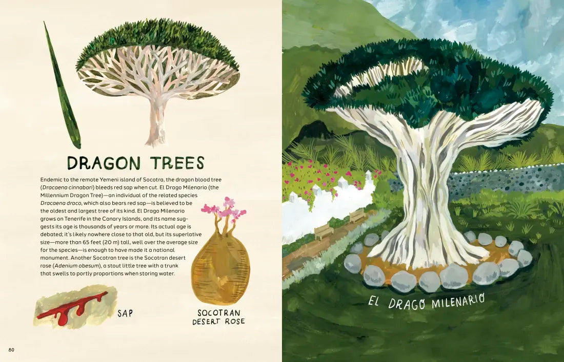 Trees US - Hardback