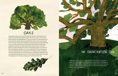 Trees US - Hardback
