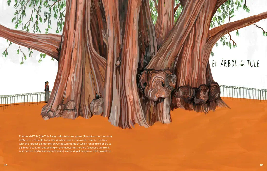 Trees US - Hardback