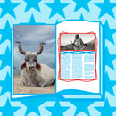 AFROSURF US - Hardback