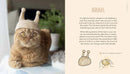 Cat-Hair Hats for Cats US - Hardback