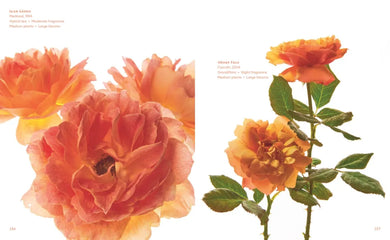 The Color of Roses US - Hardback