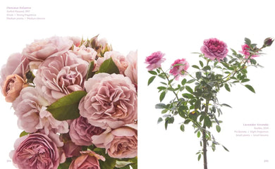 The Color of Roses US - Hardback