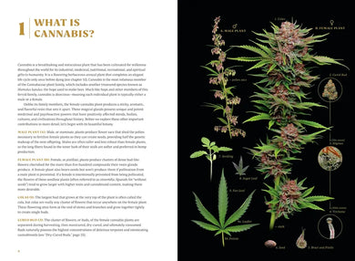Higher US - Hardback