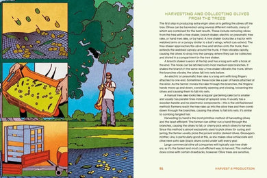 The Olive Oil Enthusiast US - Hardback