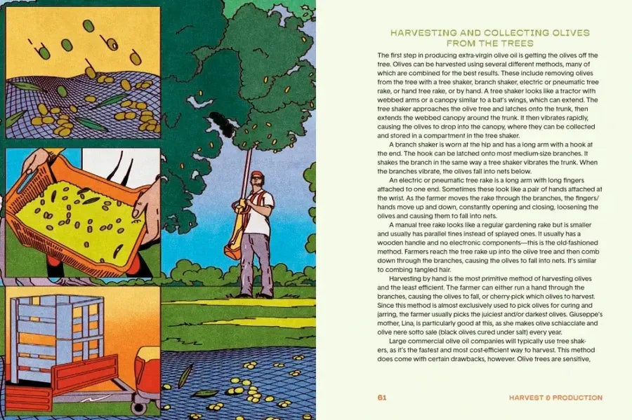 The Olive Oil Enthusiast US - Hardback