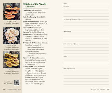 Dr. Fun Guy's Mushroom Journal and Foraging Guide US - Book