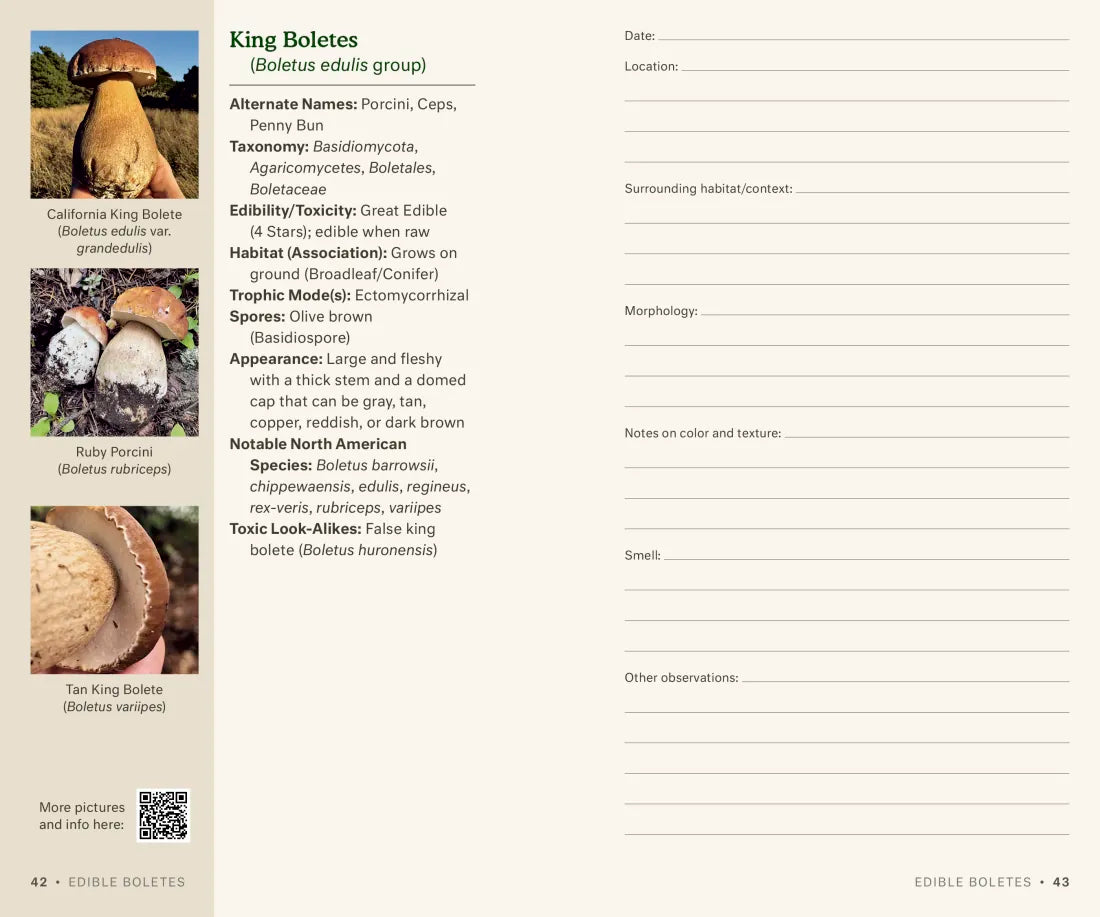 Dr. Fun Guy's Mushroom Journal and Foraging Guide US - Book
