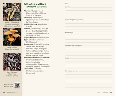 Dr. Fun Guy's Mushroom Journal and Foraging Guide US - Book