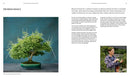 The Essential Bonsai Book US - Paperback / softback