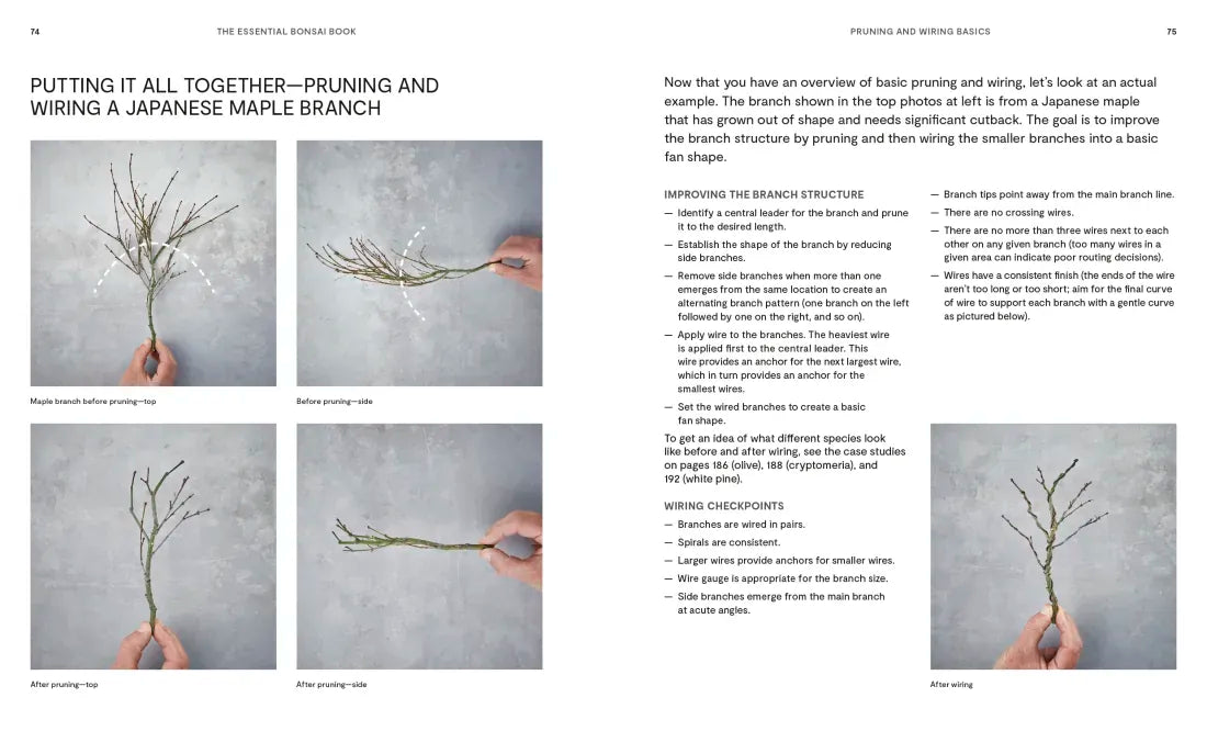 The Essential Bonsai Book US - Paperback / softback