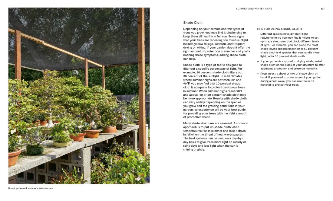 The Essential Bonsai Book US - Paperback / softback