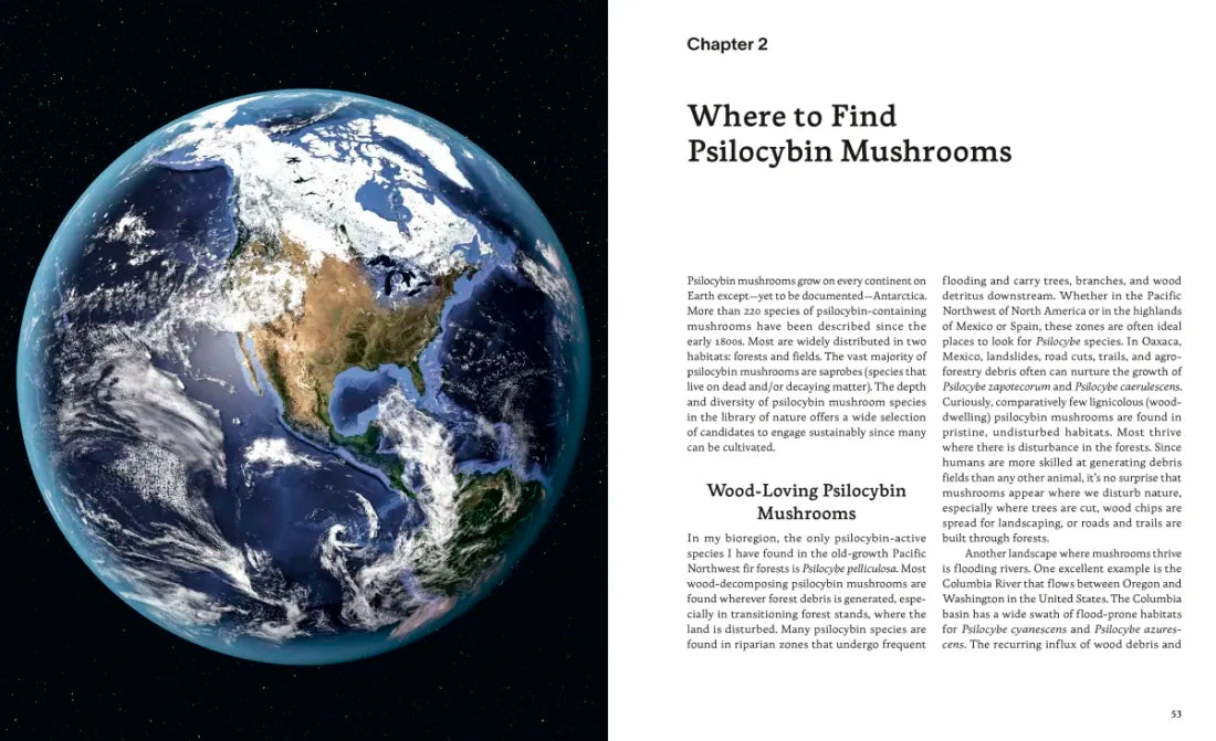 Psilocybin Mushrooms in Their Natural Habitats US - Paperback / softback