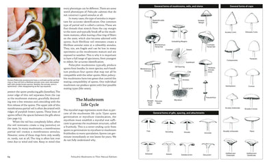 Psilocybin Mushrooms in Their Natural Habitats US - Paperback / softback