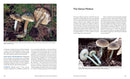 Psilocybin Mushrooms in Their Natural Habitats US - Paperback / softback