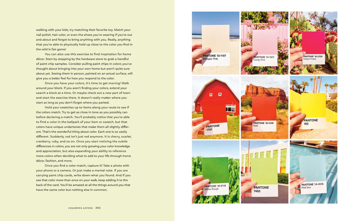 Colorful Living US - Hardback