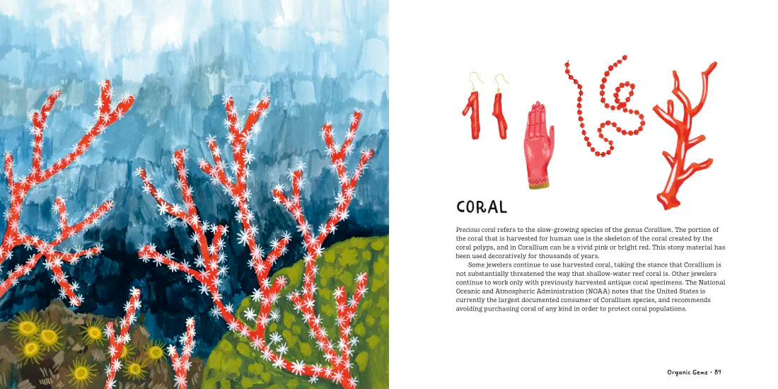 Crystals, Rocks, and Gemstones US - Hardback