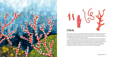 Crystals, Rocks, and Gemstones US - Hardback